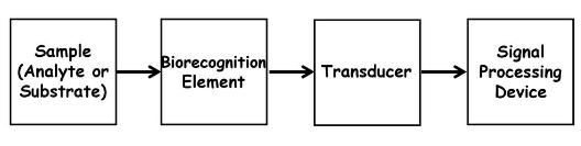 Block Diagram of Biosensor