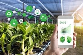 Environmental Sensor in IoT Project