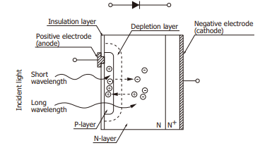 Schematic of Si Photodiode